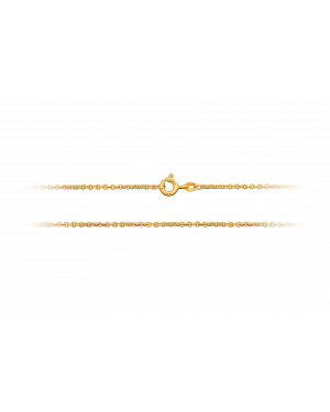 Halskette aus 333er Gelbgold »Ankerkette, 100738«