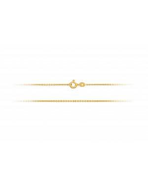 Halskette aus 585er Gelbgold »Ankerkette, 100740«