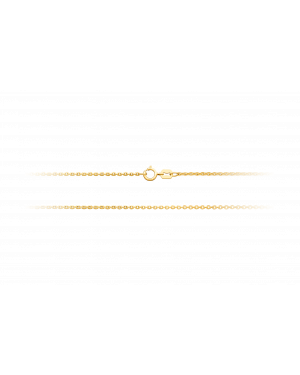 Halskette aus 585er Gelbgold »Ankerkette, 100748«