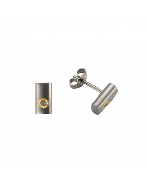 Ohrstecker aus Titan und 585er Gelbgold »100195« mit Diamanten